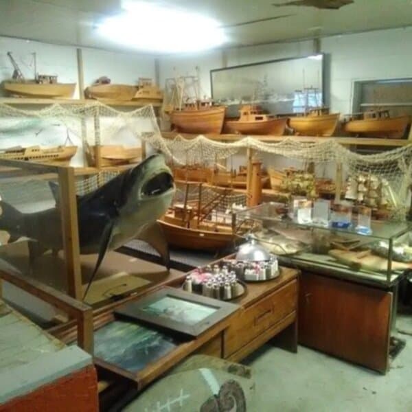 Singleton's Seafood Shack