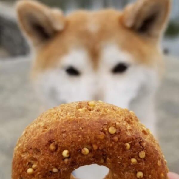 Dynamo Donut and Coffee