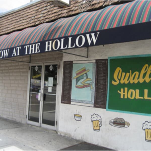 Swallow At the Hollow