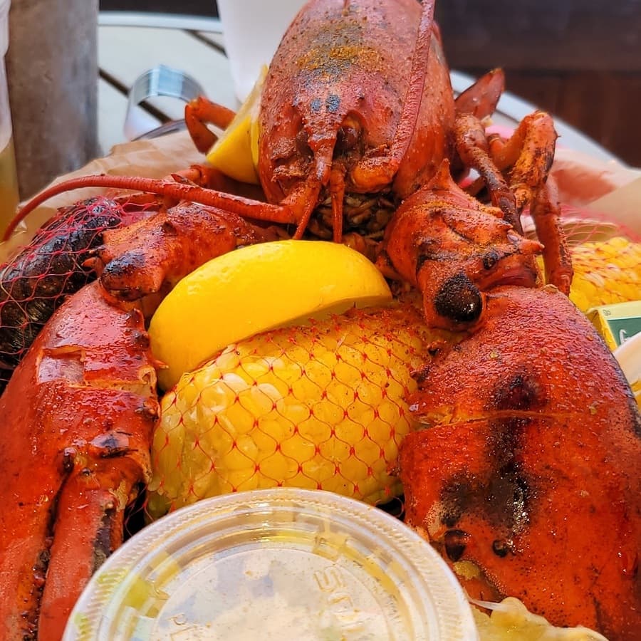 The Barking Crab