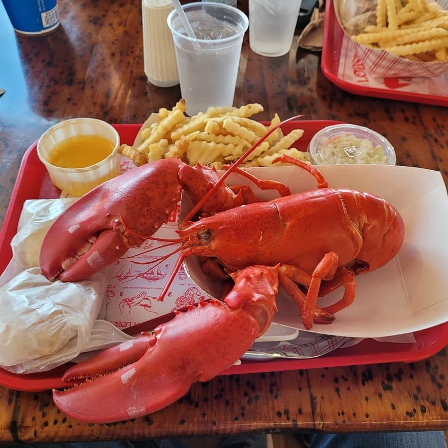 The Lobster Shack at Two Lights